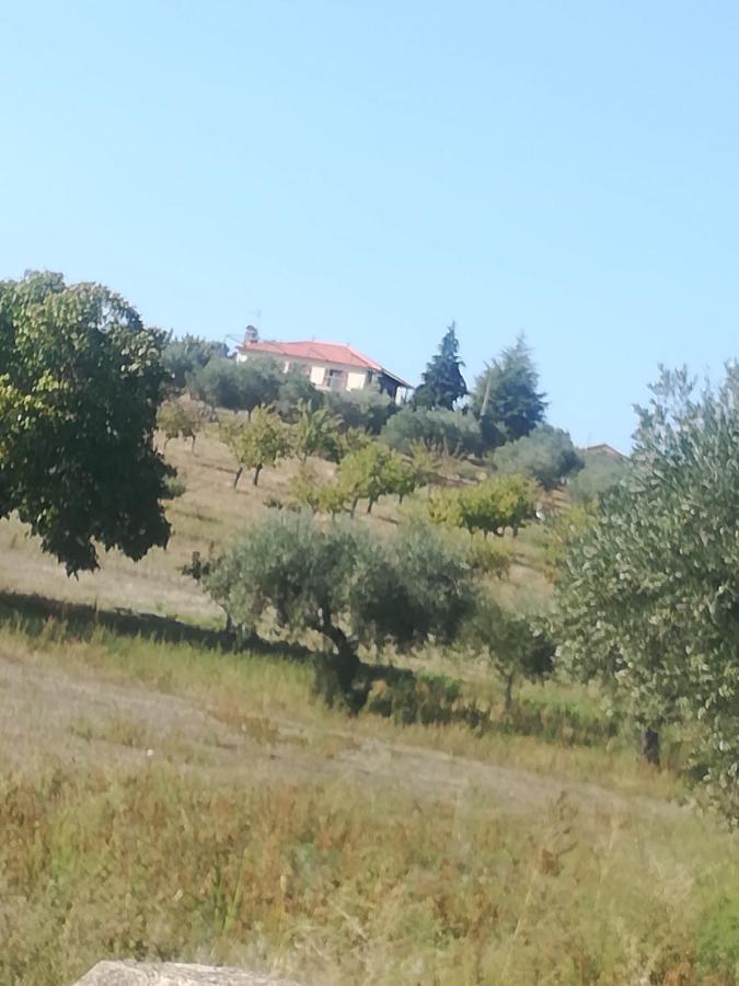 Casa Das Argolas Macedo de Cavaleiros Extérieur photo